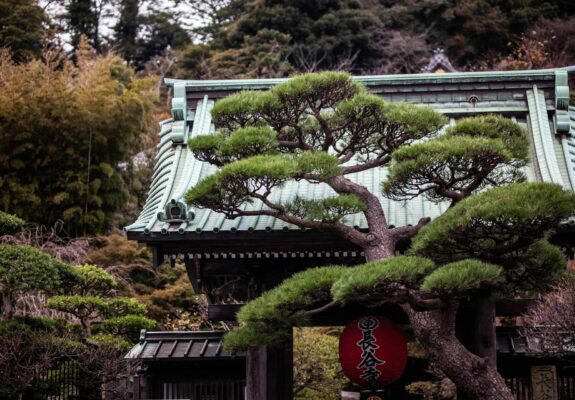 Tour des temples et Jardins de Kamakura avec une Conceptrice de Jardins