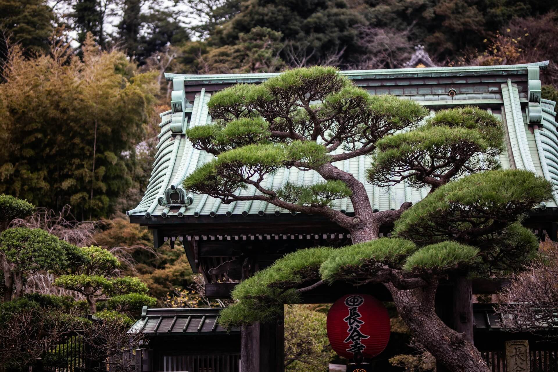 Tour des temples et Jardins de Kamakura avec une Conceptrice de Jardins