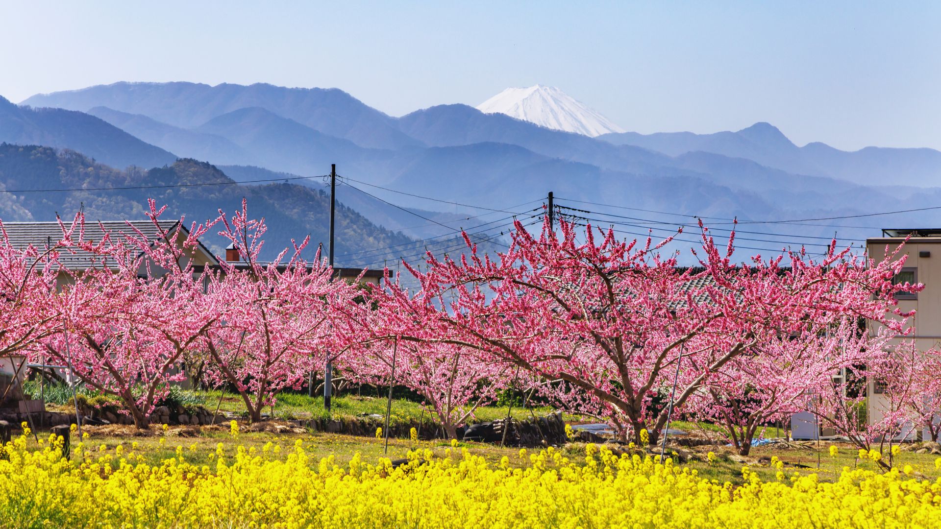 De Tokyo à Kyoto en passant par les Alpes Japonaises
